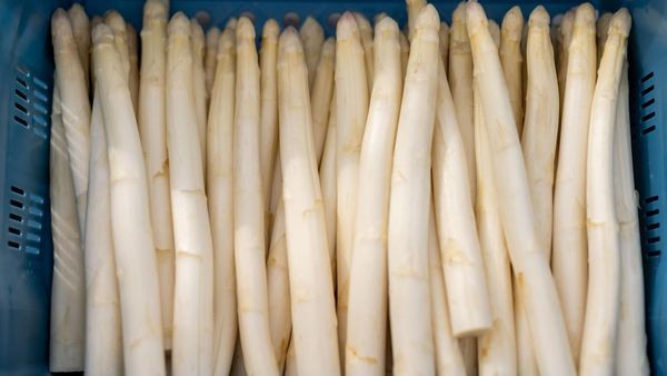 Dinslaken, Voerde, Hünxe: Spargel und Erdbeeren vom Bauern