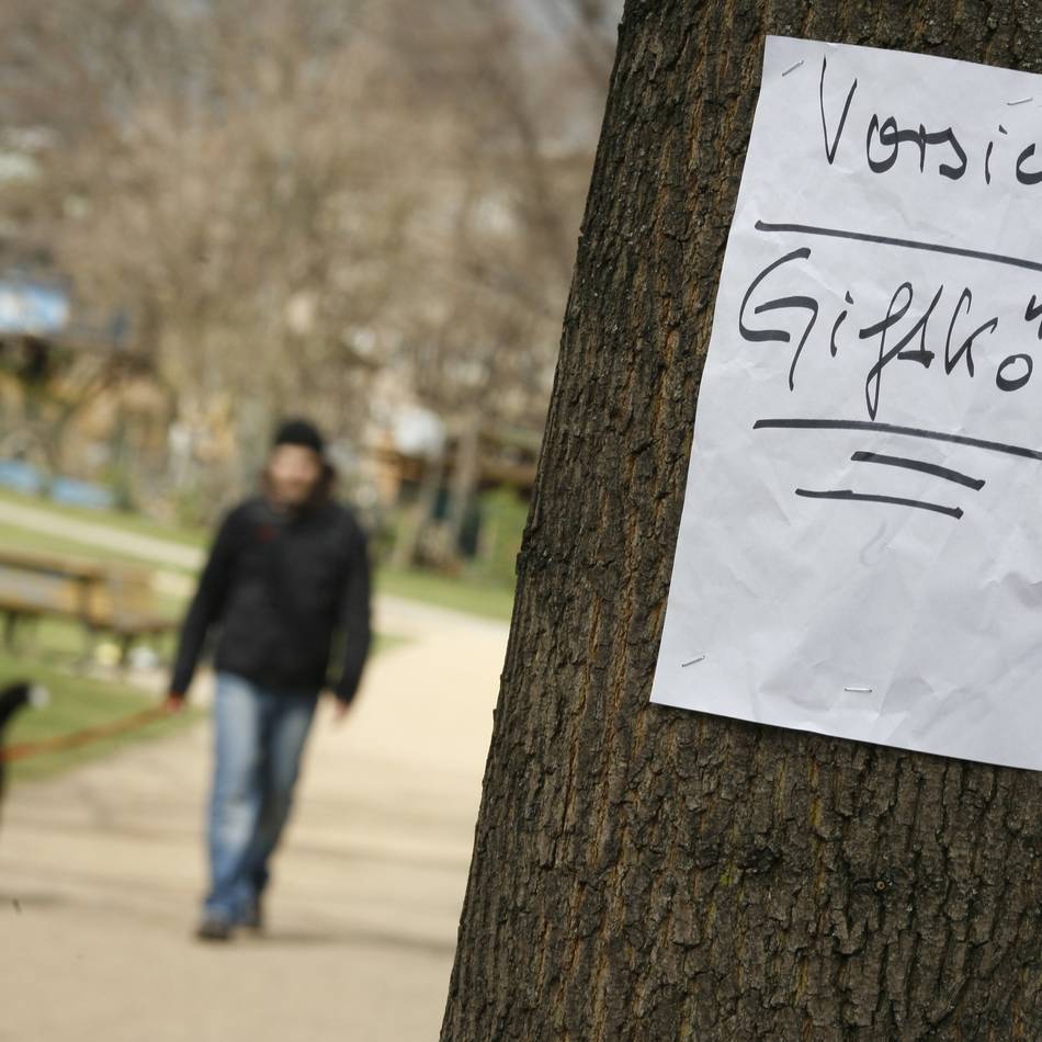 Hundehalter verunsichert: „Bitte meidet die Gegend“ – Werden im Kreis Wesel Giftköder ausgelegt?