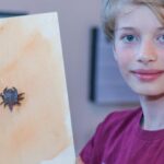 Origami-Künstler: Henning (12) schafft kleine Meisterwerke