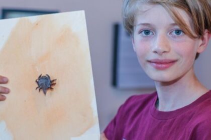 Origami-Künstler: Henning (12) schafft kleine Meisterwerke