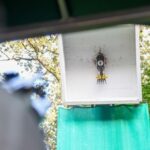 Schießen für jeden in Möllen: Dieses Event macht es möglich