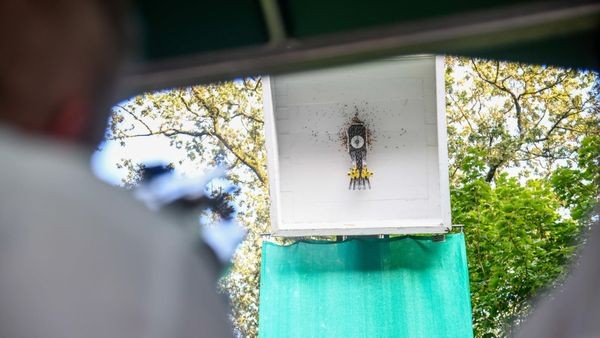 Schießen für jeden in Möllen: Dieses Event macht es möglich