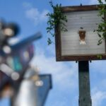 Schützenfeste in Dinslaken 2025: Hier wird in der Stadt gefeiert