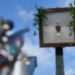 Schützenfeste in Voerde 2025: Hier wird geschossen und gefeiert