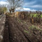 Voerde: Ausbau von Wirtschaftsweg – „Natur unnötig malträtiert“