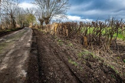 Voerde: Ausbau von Wirtschaftsweg – „Natur unnötig malträtiert“