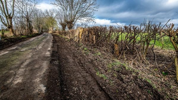 Voerde: Ausbau von Wirtschaftsweg – „Natur unnötig malträtiert“