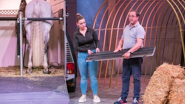 Voerder Firma bei Vox: Mit Pferd in die „Höhle der Löwen“