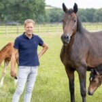 Fohlenschau in Hünxe: 100 junge Pferde stehen im Rampenlicht