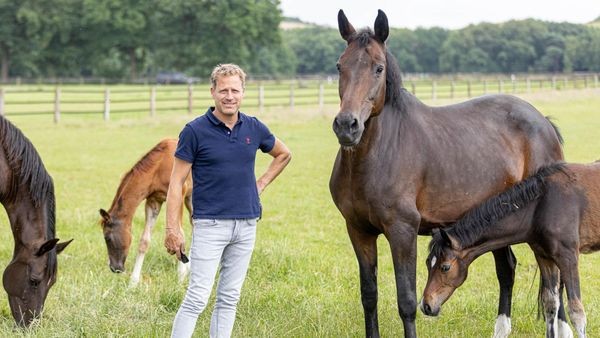 Fohlenschau in Hünxe: 100 junge Pferde stehen im Rampenlicht