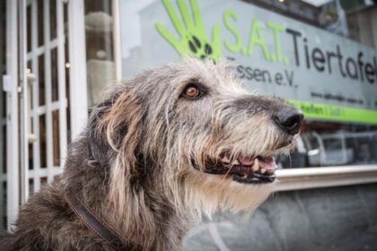 Hünxe: Krimi deckt Abgründe hinter Krudenburgs Fassaden auf