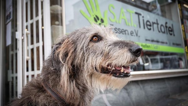 Hünxe: Krimi deckt Abgründe hinter Krudenburgs Fassaden auf
