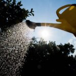 Rarer Regen an Emscher und Lippe: Einer der trockensten Frühlinge seit 1931