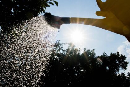 Rarer Regen an Emscher und Lippe: Einer der trockensten Frühlinge seit 1931