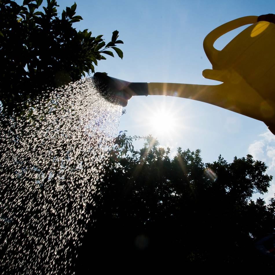 Rarer Regen an Emscher und Lippe: Einer der trockensten Frühlinge seit 1931