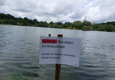 Verdacht auf Blaualgen: Stadt Dinslaken sperrt den Rotbachsee