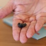 35 Jahre Dierksmeier in Dinslaken: Was Hörgeräte heute kosten