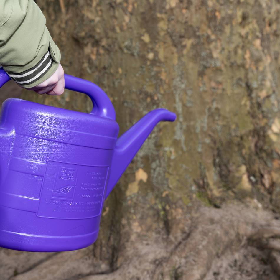 Am 4. Juli: Tag der Gießkanne – bewässere deinen Straßenbaum!
