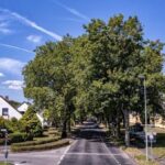 Bahnhofstraße Voerde: Zoff und zähes Ringen um Erhalt der Bäume