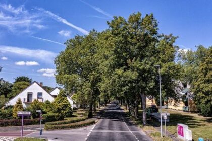 Bahnhofstraße Voerde: Zoff und zähes Ringen um Erhalt der Bäume