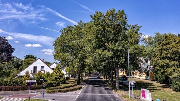 Bahnhofstraße Voerde: Zoff und zähes Ringen um Erhalt der Bäume