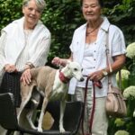 Hündin Shadé ist krank: Hohe Tierarztkosten – diese Frau hilft