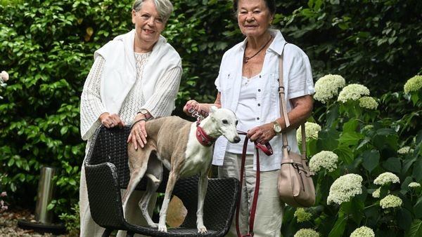 Hündin Shadé ist krank: Hohe Tierarztkosten – diese Frau hilft
