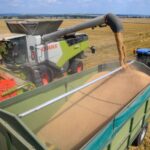 Landwirtschaft am Niederrhein: „Zufriedenstellende Erträge“ – Getreideernte im Rheinland läuft auf Hochtouren