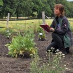 Wildbienen: Bundesweites Forschungsprojekt in Dinslakener Firma