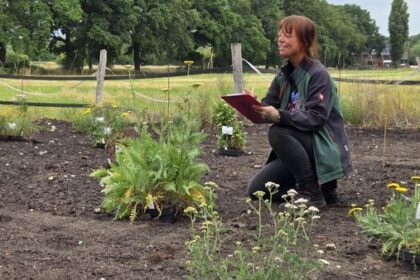 Wildbienen: Bundesweites Forschungsprojekt in Dinslakener Firma