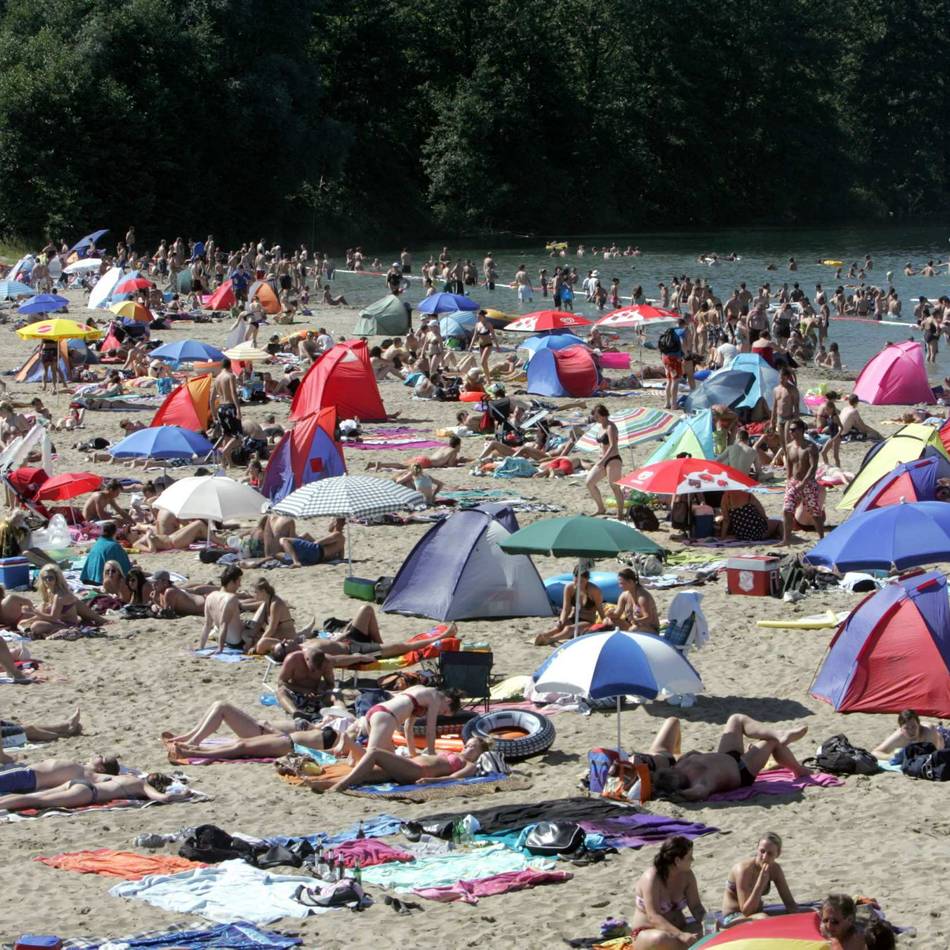 Clean-up am Tenderingssee: Pommes und Strandbad-Freikarten für eifrige Müllsammler
