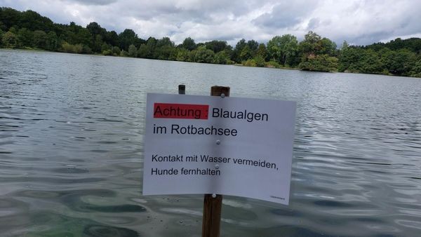 Dinslaken: Rotbachsee umgekippt? Feuerwehr füllt Wasser ein