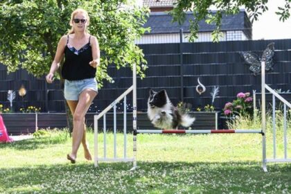 Ein starkes Team: Jasmin und Lennox starten bei Agility-WM