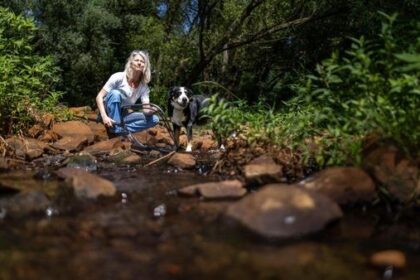Kindergeburtstag im Grünen: Das gibt‘s beim „Wasserfrosch“