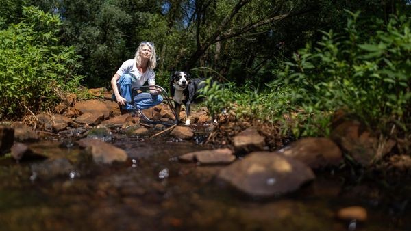 Kindergeburtstag im Grünen: Das gibt‘s beim „Wasserfrosch“
