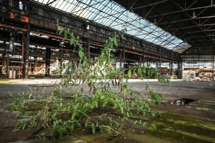 MCS-Gelände Dinslaken: neue Runde bei der Investorensuche