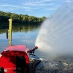 Rotbachsee: Fische sterben weiter – wie konnte das passieren?