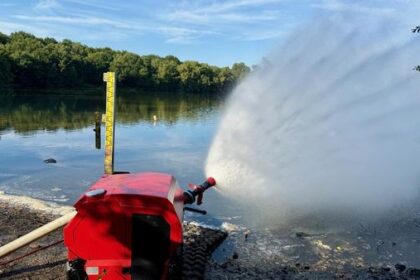 Rotbachsee: Fische sterben weiter – wie konnte das passieren?