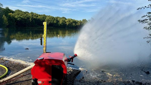 Rotbachsee: Fische sterben weiter – wie konnte das passieren?