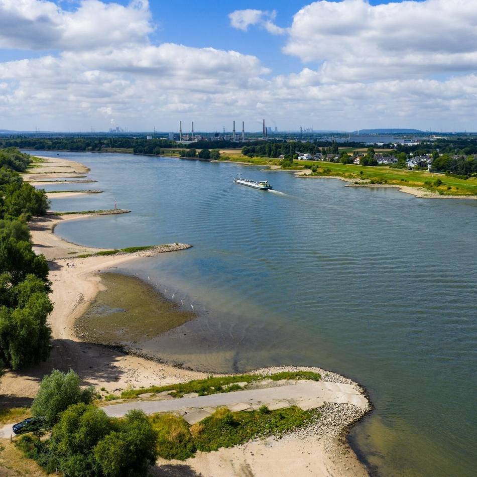 Schwimmen in Deutschlands größtem Fluss: Landrat spricht sich für generelles Rhein-Badeverbot im Kreis Wesel aus