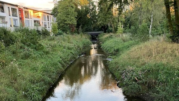 So will die Stadt Dinslaken den Rotbach verändern