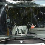 Verkehrsunfall in Dinslaken: Linienbus geht voll in die Eisen – und dann passiert das