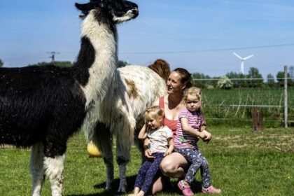 Von Lama-Tour bis Ballon-Magie: 9 coole Kindergeburtstags-Ideen