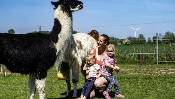 Von Lama-Tour bis Ballon-Magie: 9 coole Kindergeburtstags-Ideen
