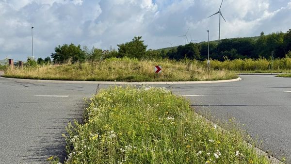 Zwei schwere Unfälle: Kann man Kreisverkehr übersehen?