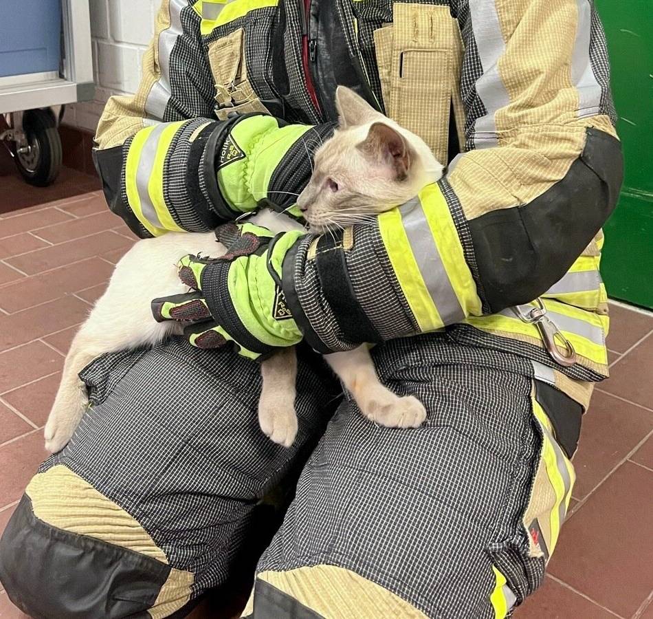 Bei Hünxe: Feuerwehr rettet Katze aus Schleusenkammer