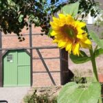 Dinslakener Museumsleiter sauer: Beliebter Ort wird zugemüllt