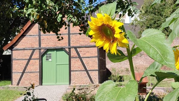 Dinslakener Museumsleiter sauer: Beliebter Ort wird zugemüllt