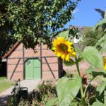 Dreistigkeit in Dinslaken: „Manche glauben an Selbstbedienung“ – Museumsgarten wird geplündert