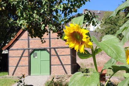 Dreistigkeit in Dinslaken: „Manche glauben an Selbstbedienung“ – Museumsgarten wird geplündert